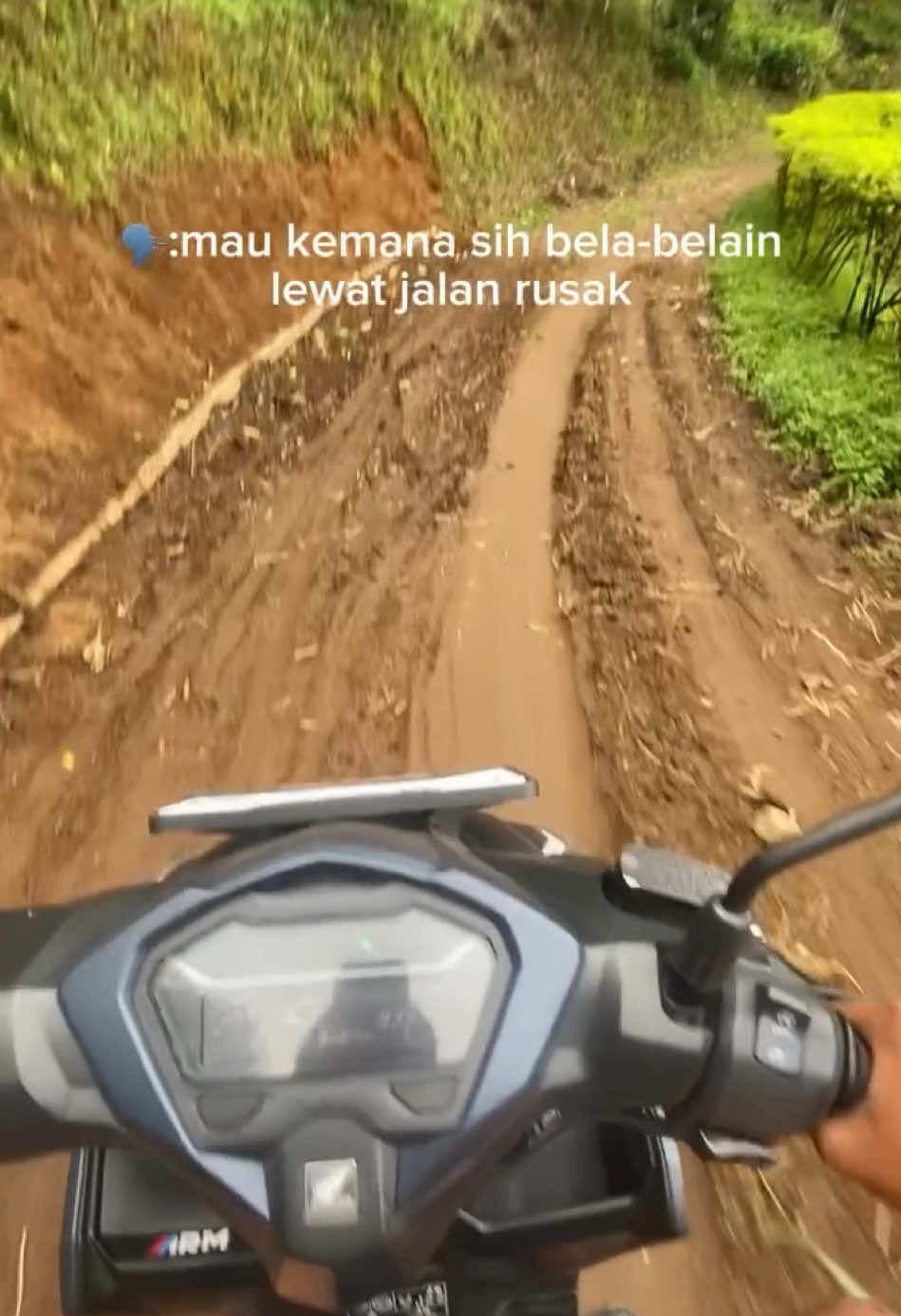 @asligarut___