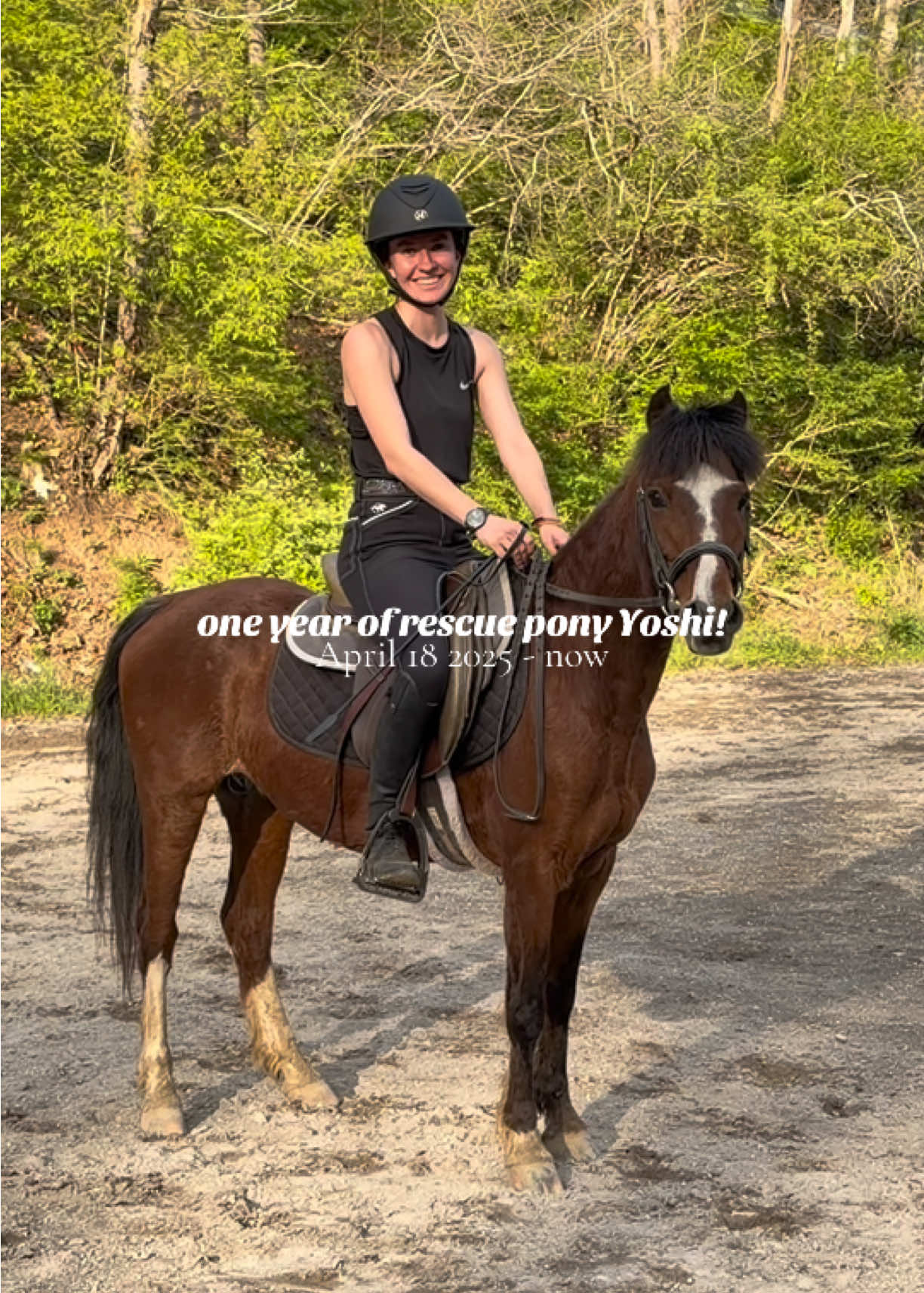 @Lunar Hill Equestrian