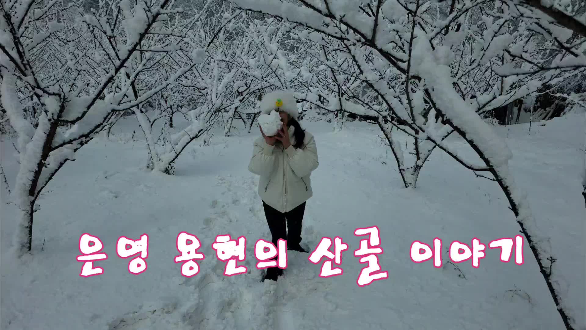 @유튜브 "정선사람들" 안용현