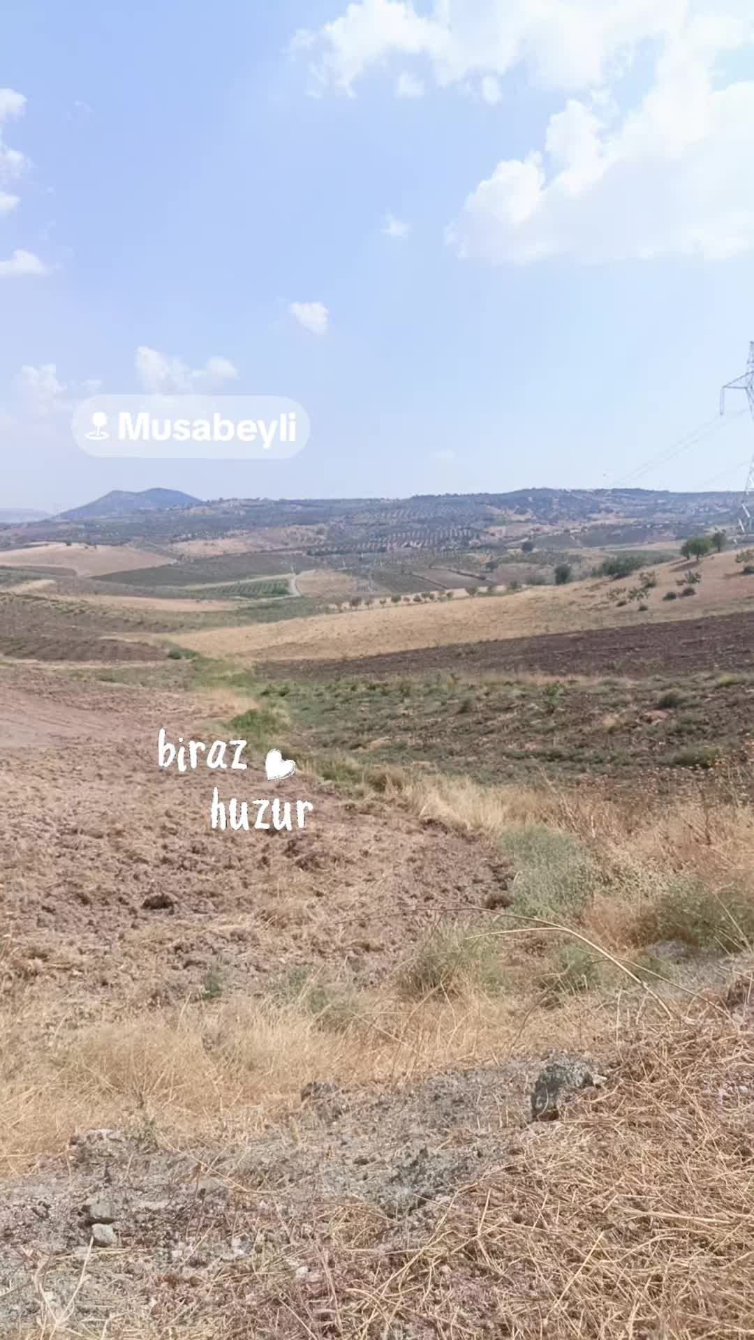 @Zeyno günn