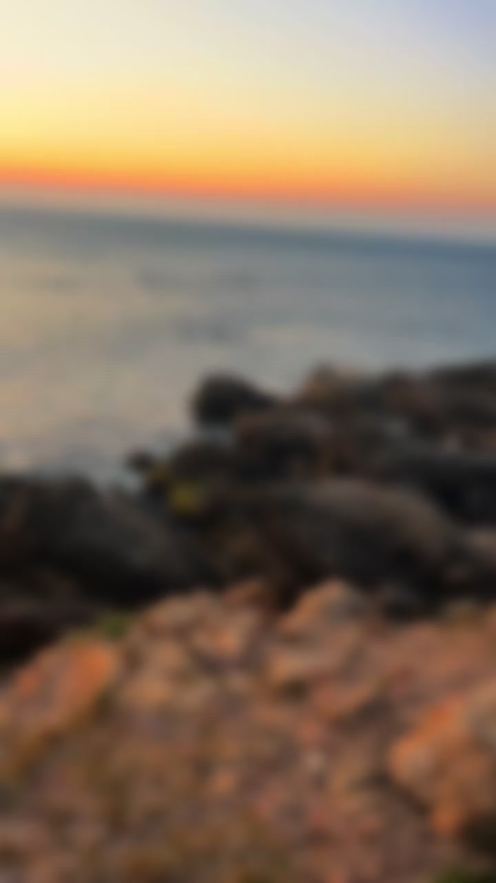 @راجية الغفران