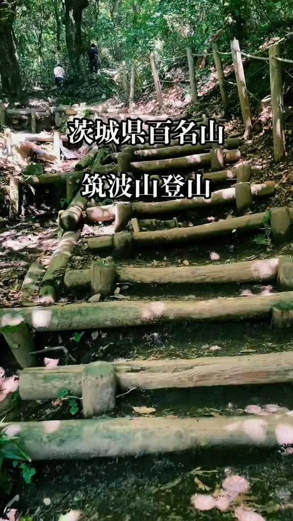 @しゃぱぞう