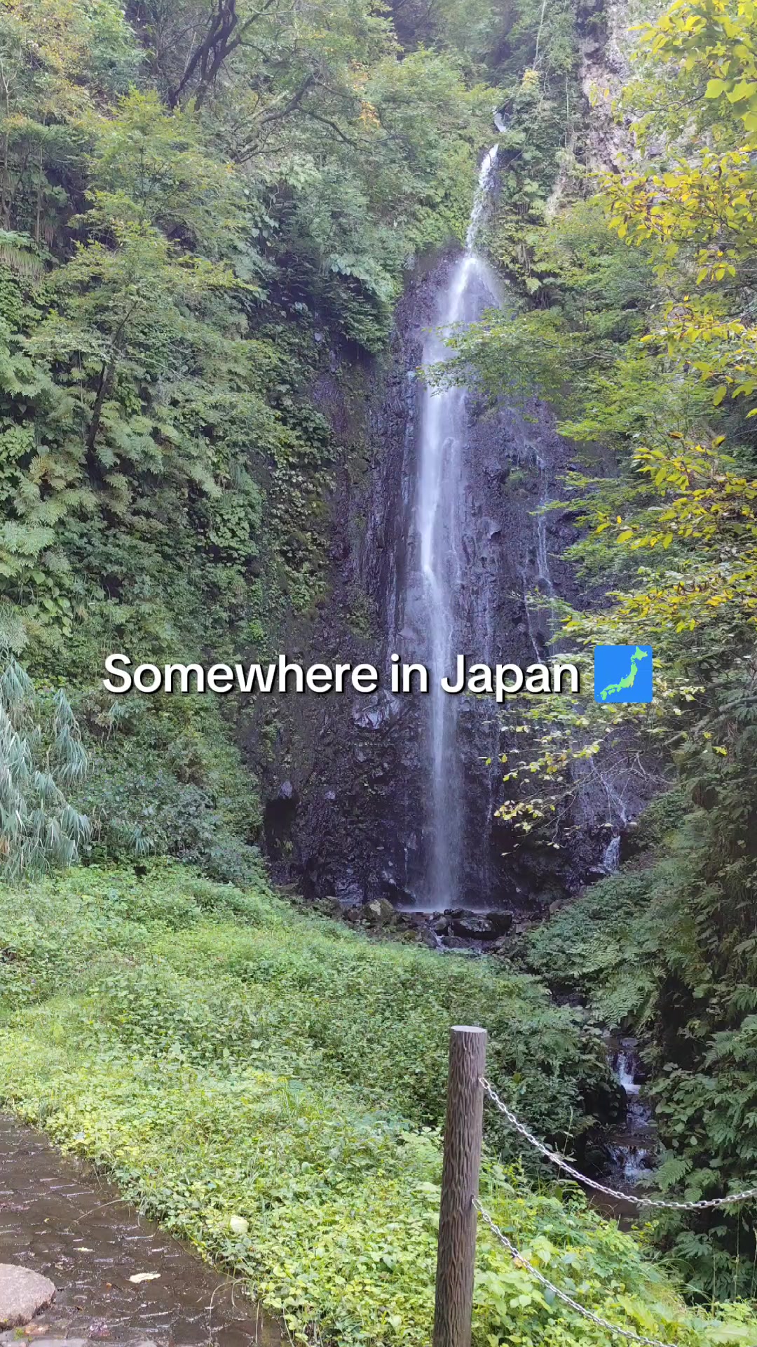 @Adjediweh 🇯🇵