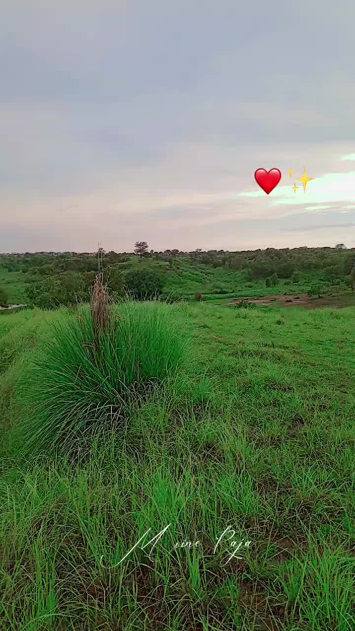 @Raja Moin