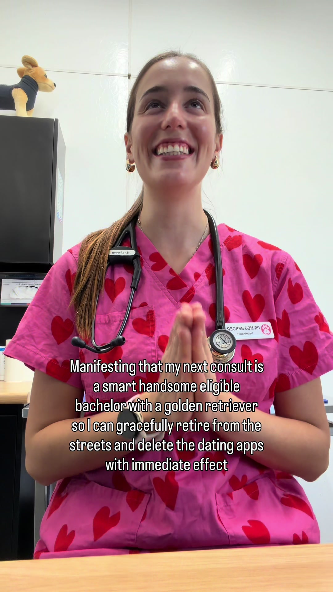 @drmegthevet