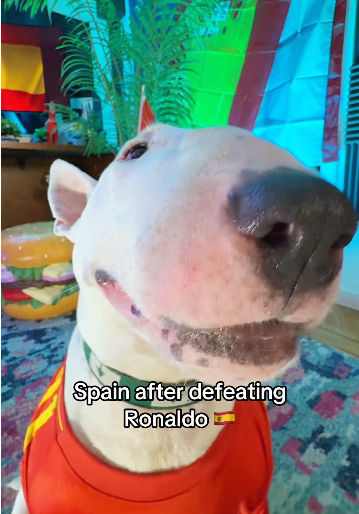 @Mister Mainer