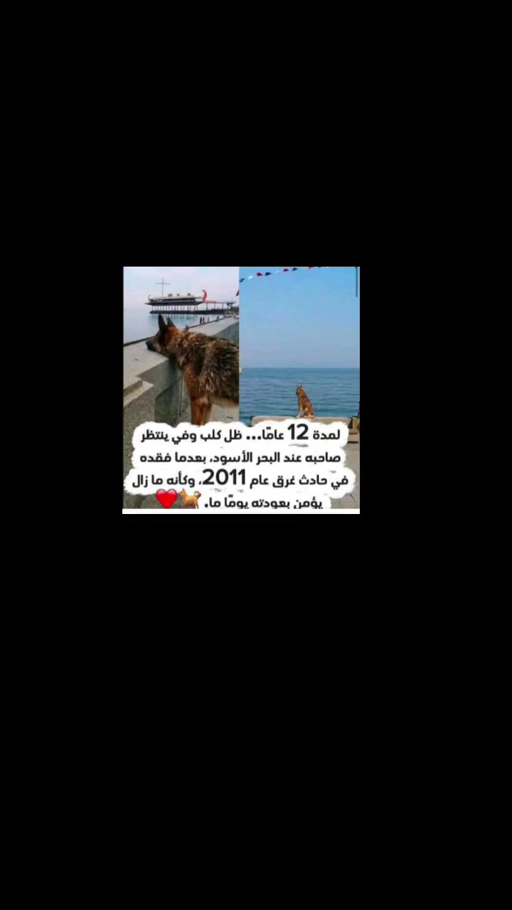 @Doaa