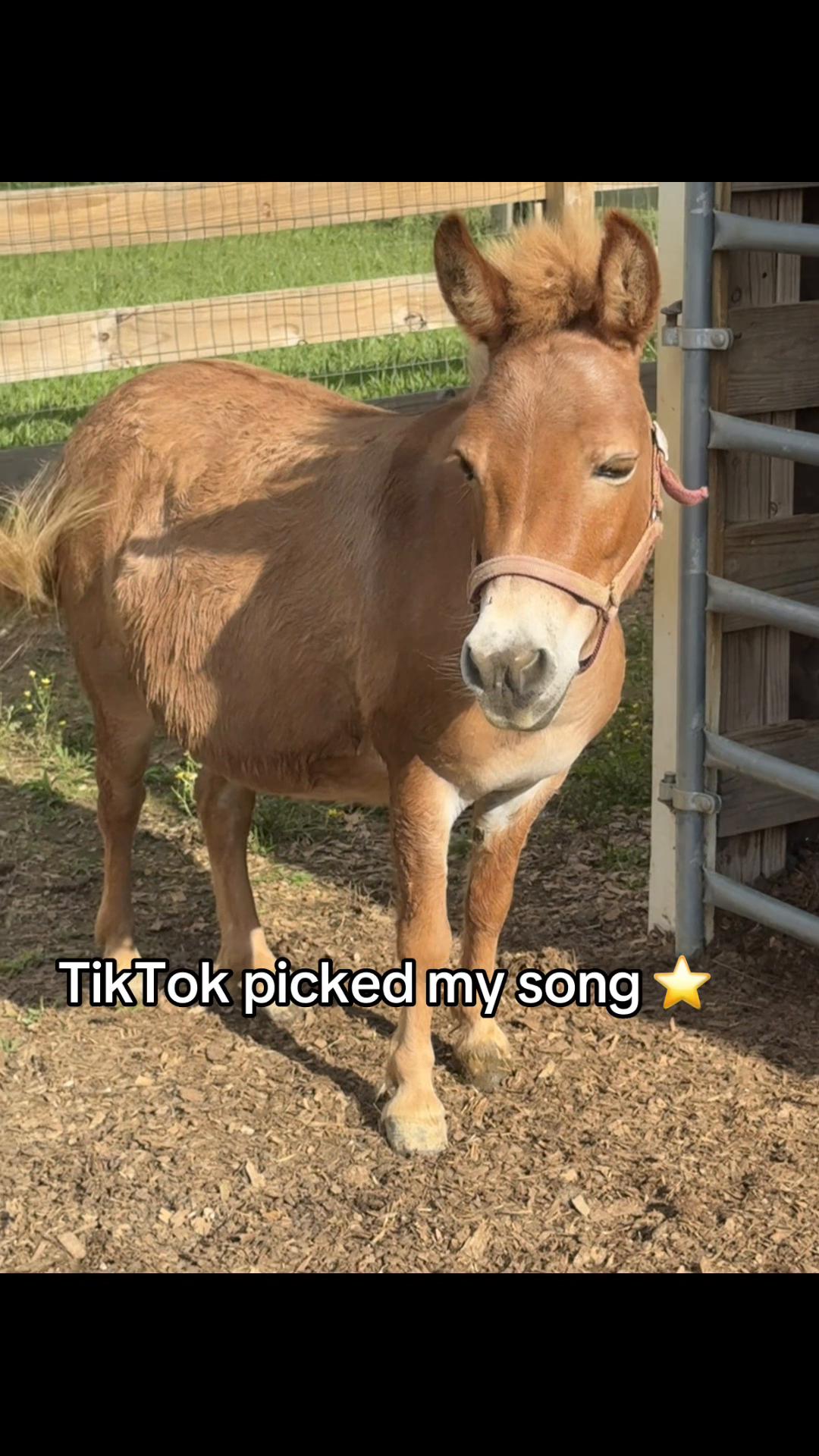 @EzraSharksIslandOfMisfitz
