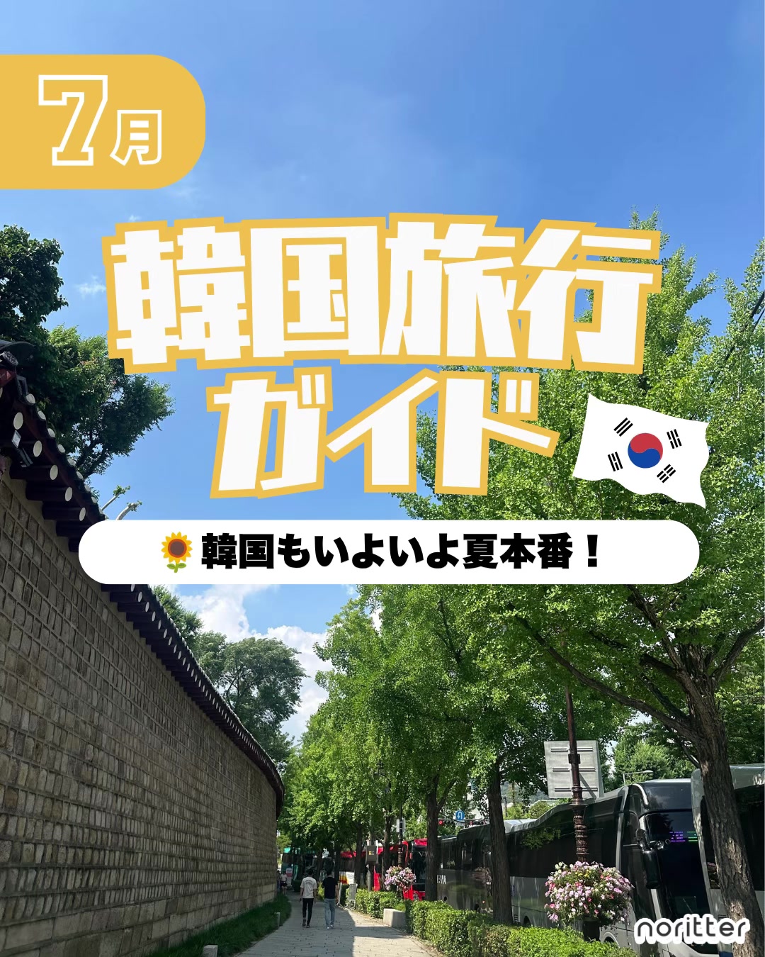 @noritter🩷韓国トレンドコミュニティ