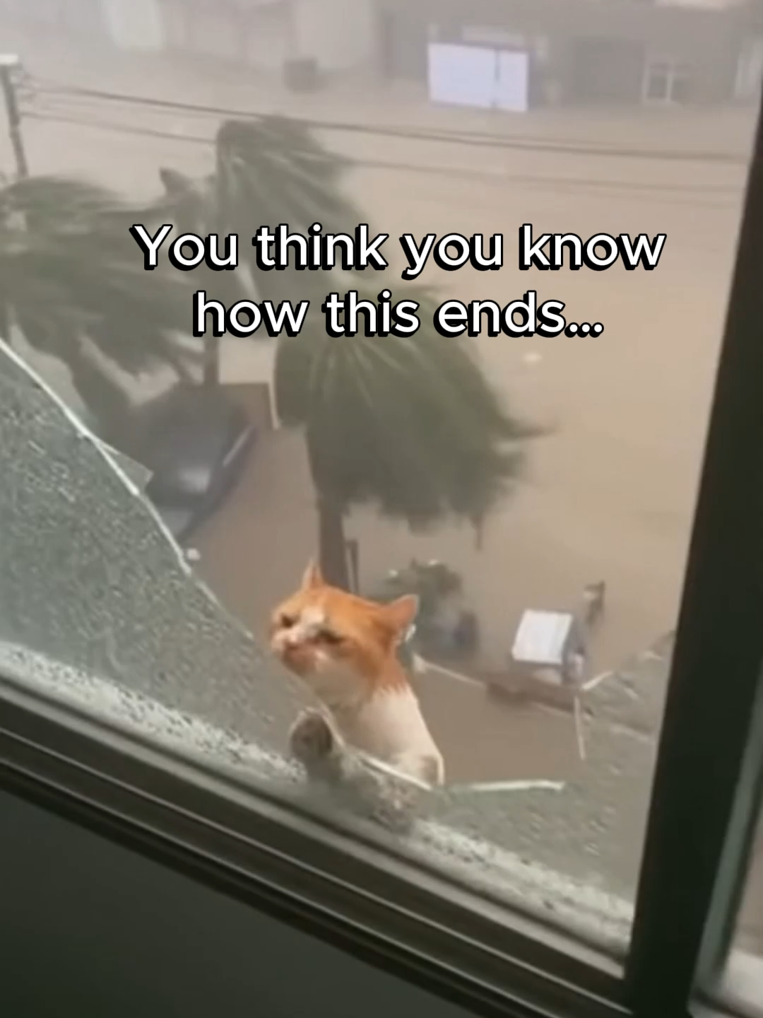 @GuardianMoments