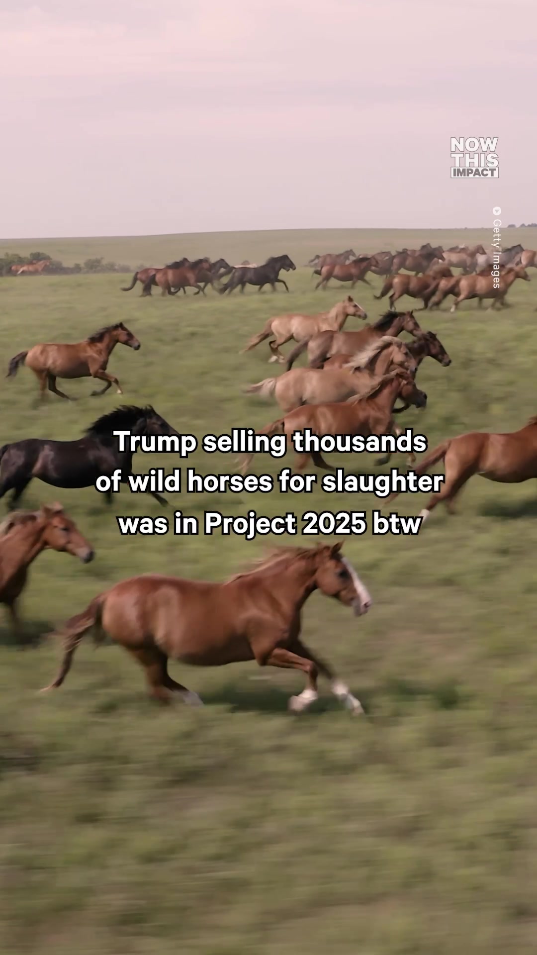 @NowThis Impact