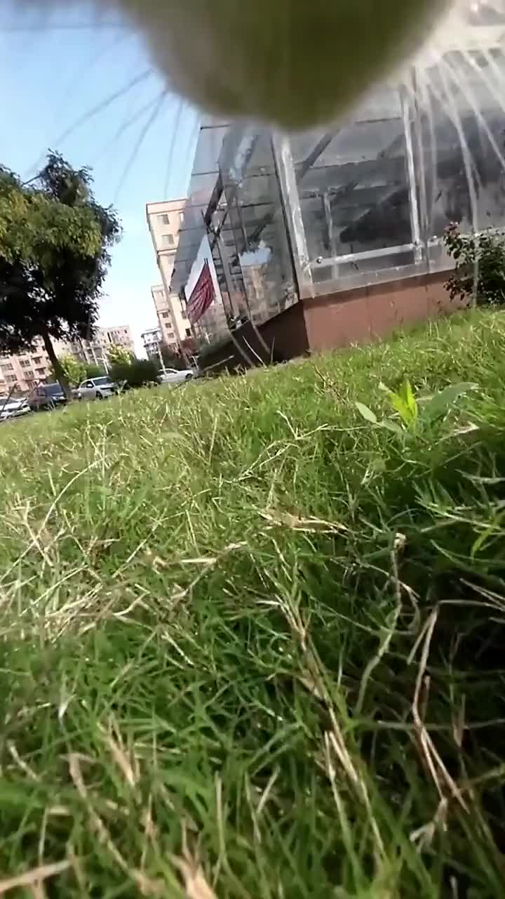 @pipi.puppy