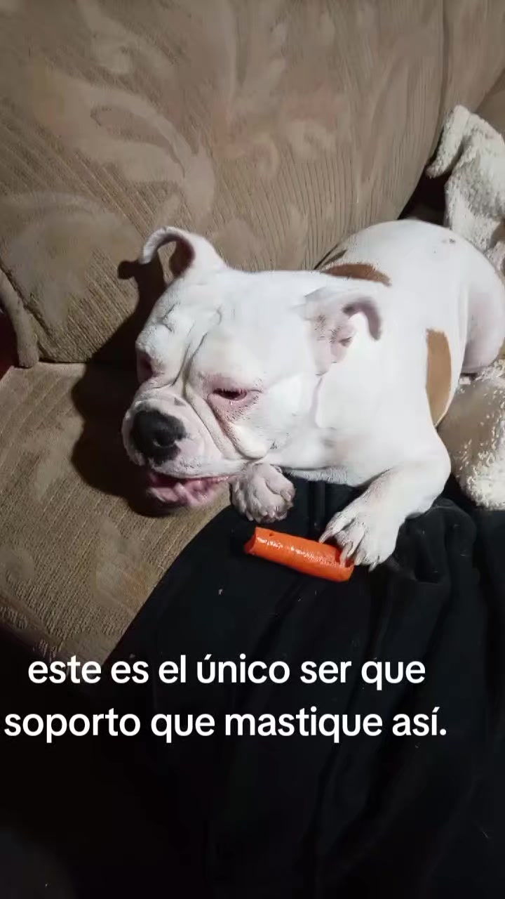@anianita