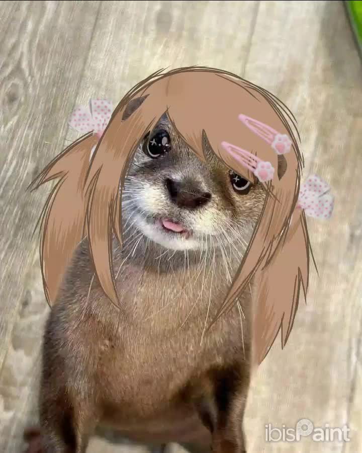 @Sealie 🦭🍮