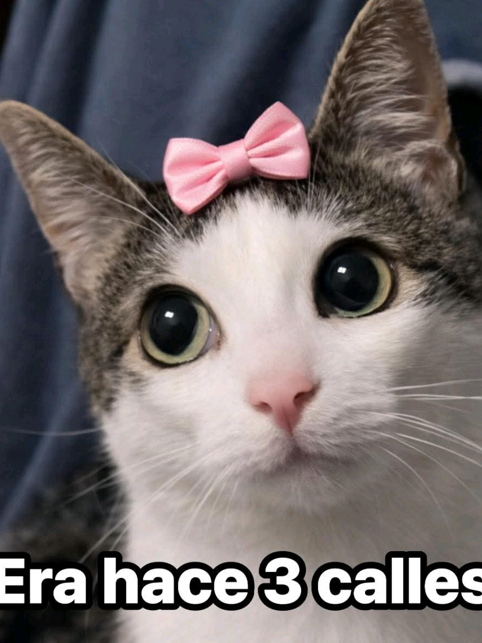 @Oliver 3