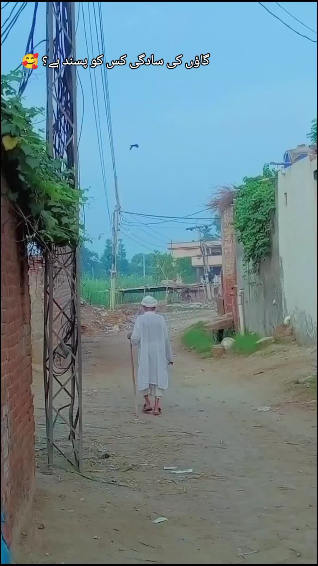 @💝شانی سندھو 🌱🌾
