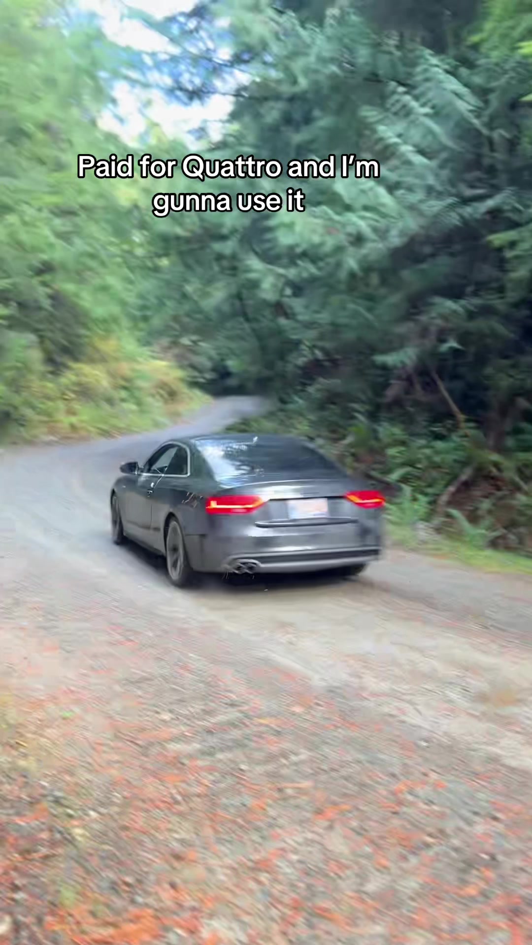 @mk2jetta