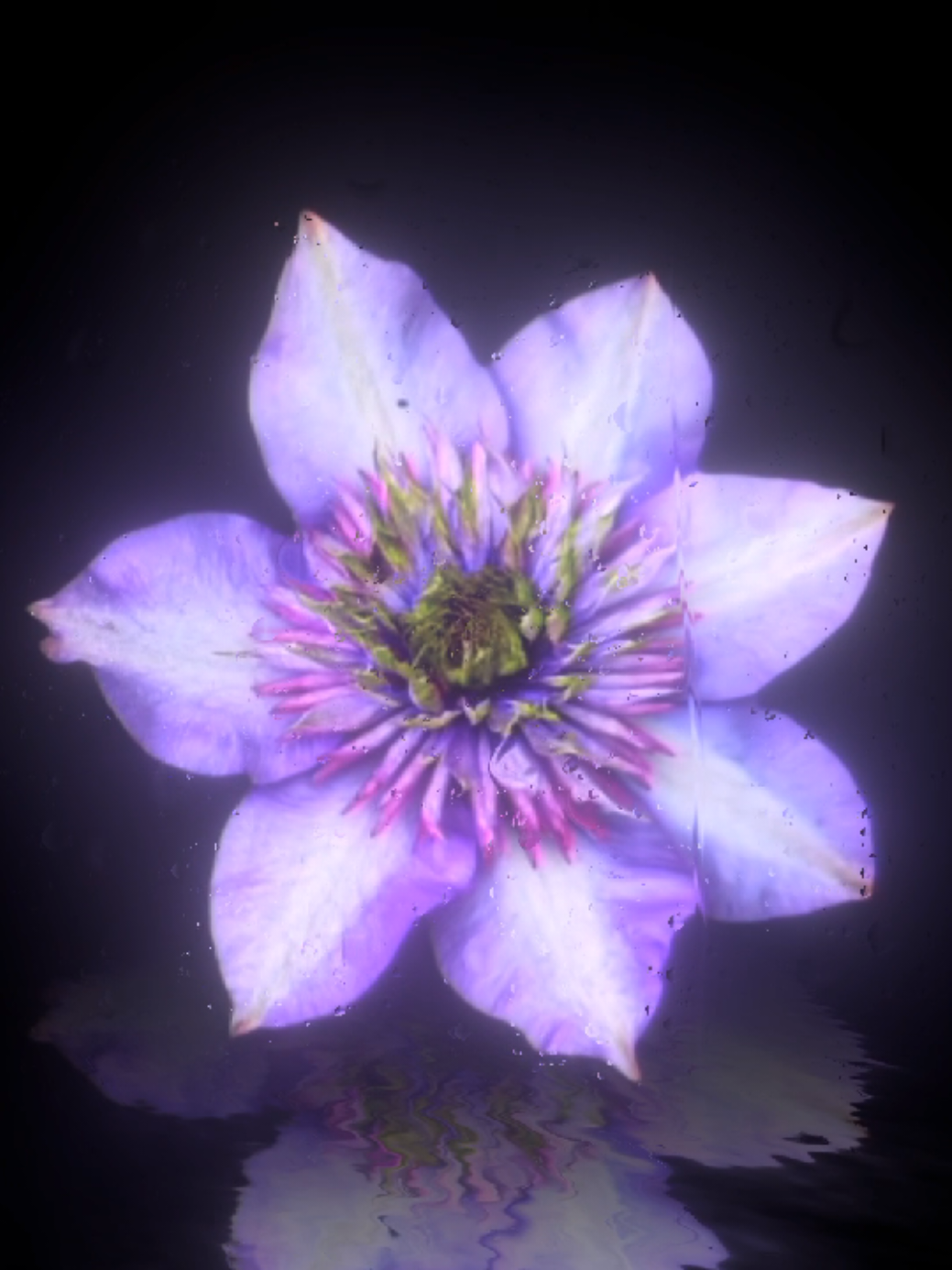 @𝐌𝐔𝐒𝐈𝐂 𝐌𝐄𝐃𝐄𝐑𝐎