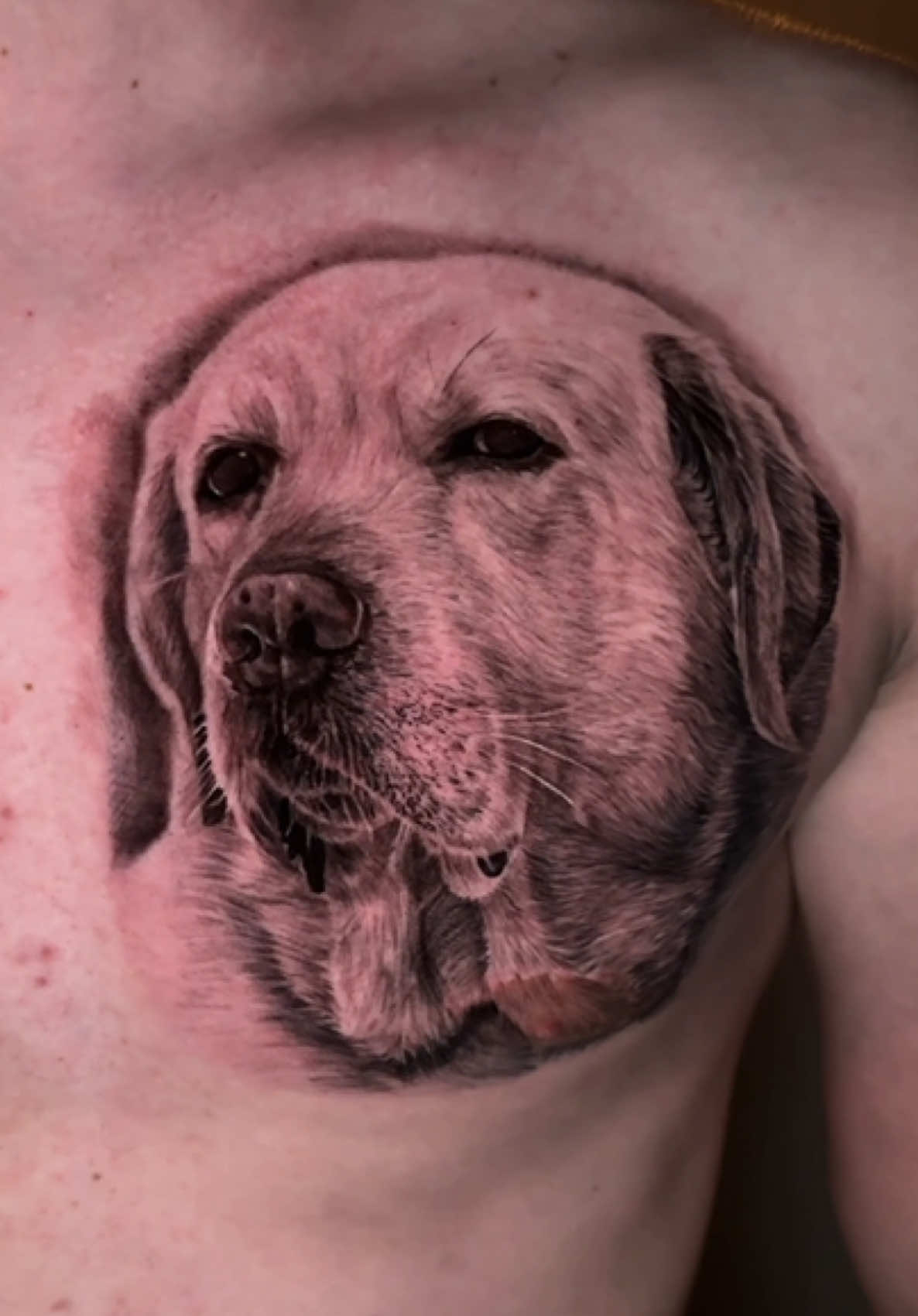 @Vago Tattoo