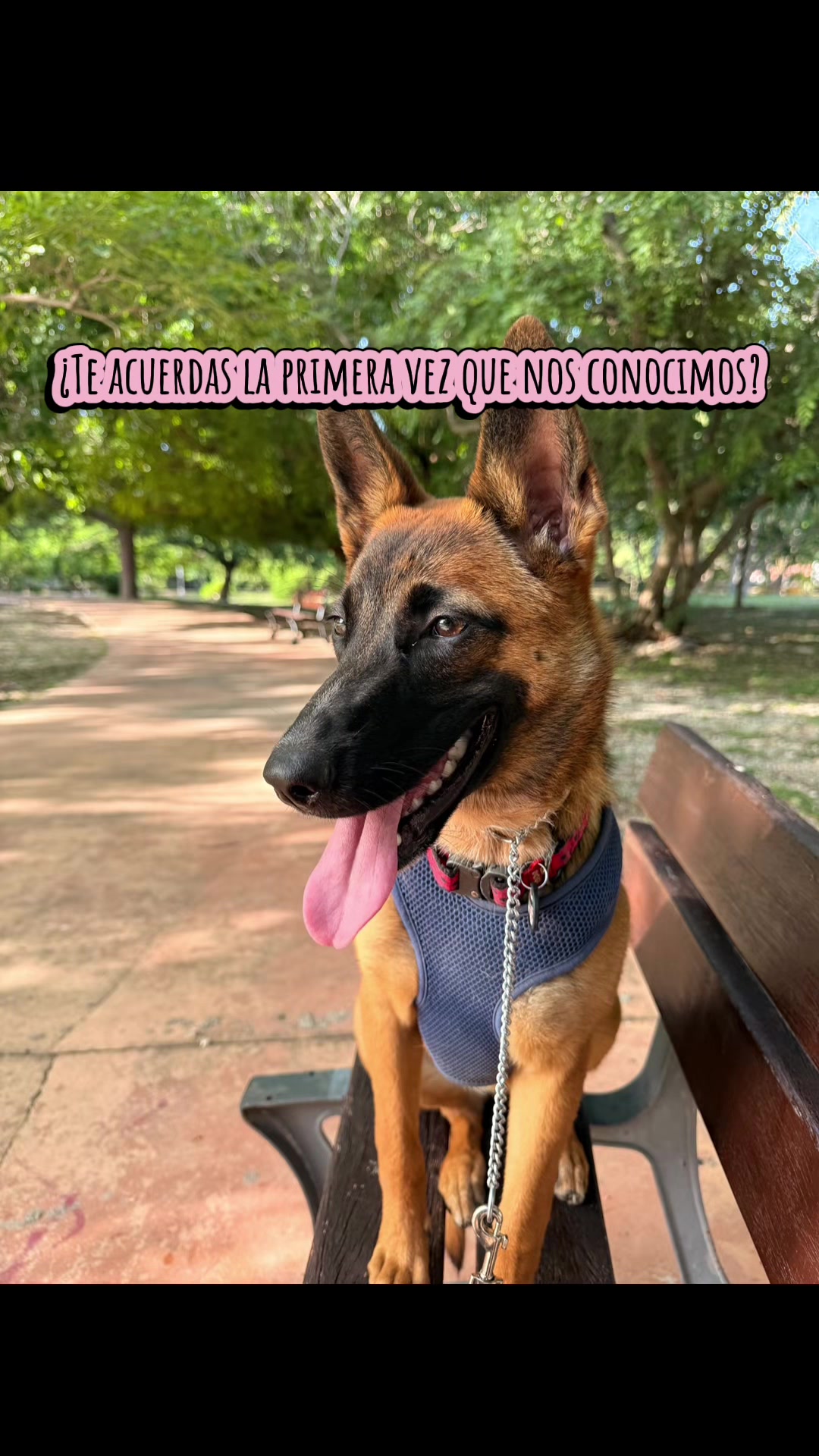 @Karlota.