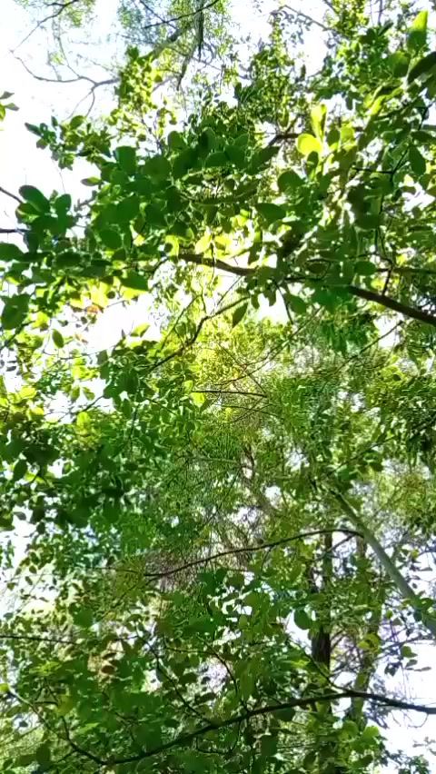 @_seva