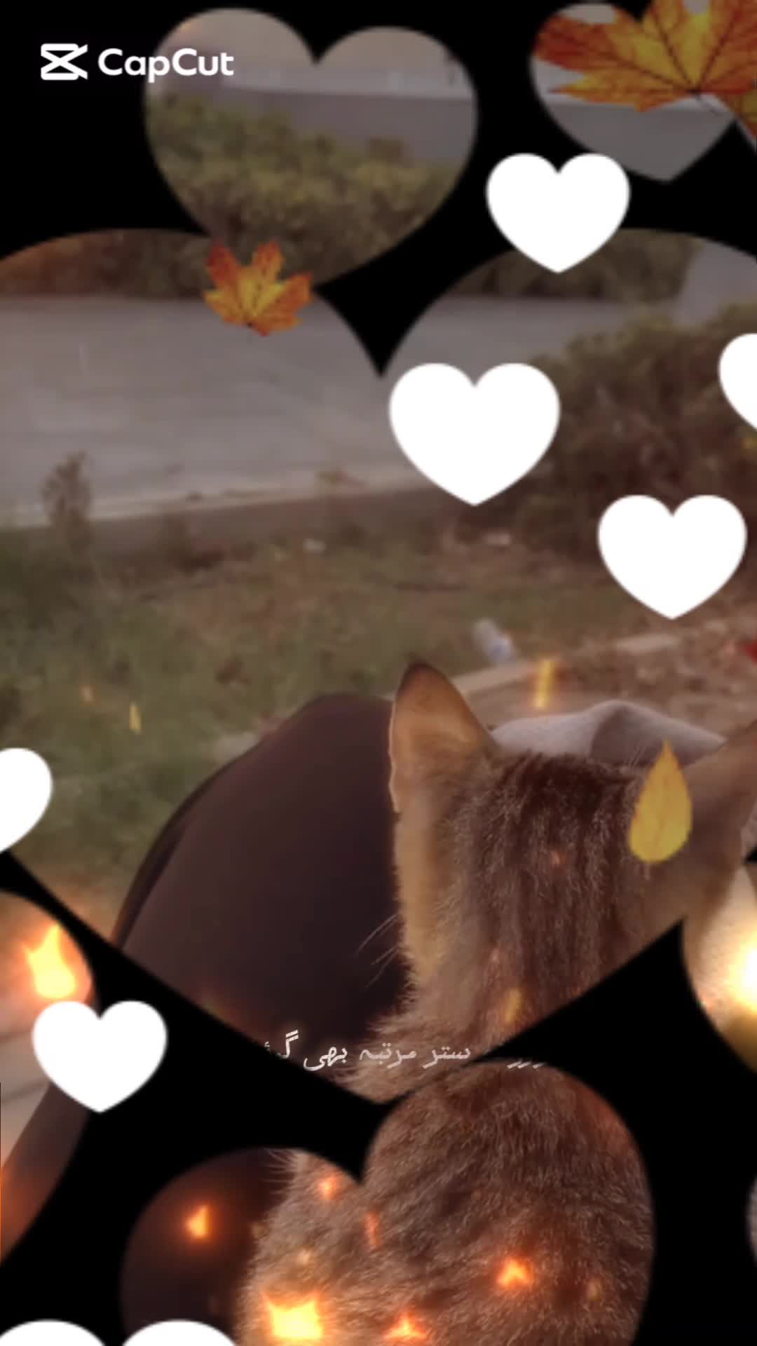 @Солеҳа❤️🩹