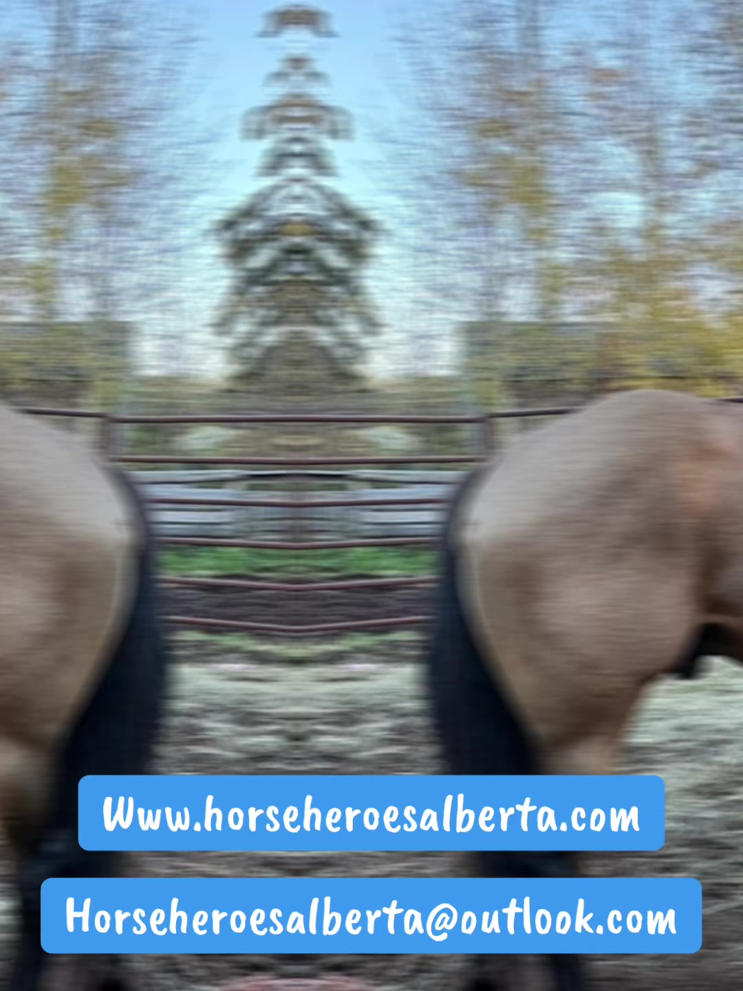 @Zesta Jenn