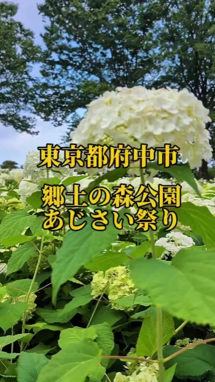 @ðžShinominðžé¢æ±æ ãã¹ãããå·¡ã