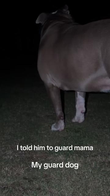 @Zerofucks