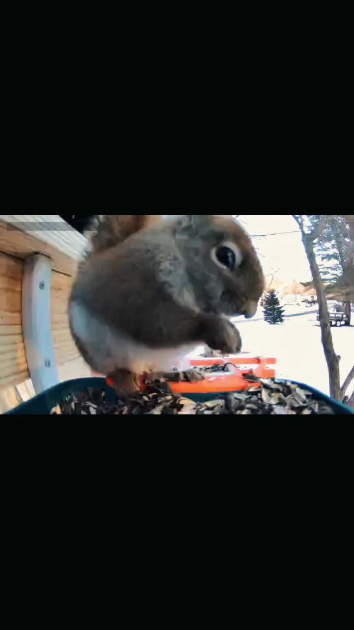 @Любопытно