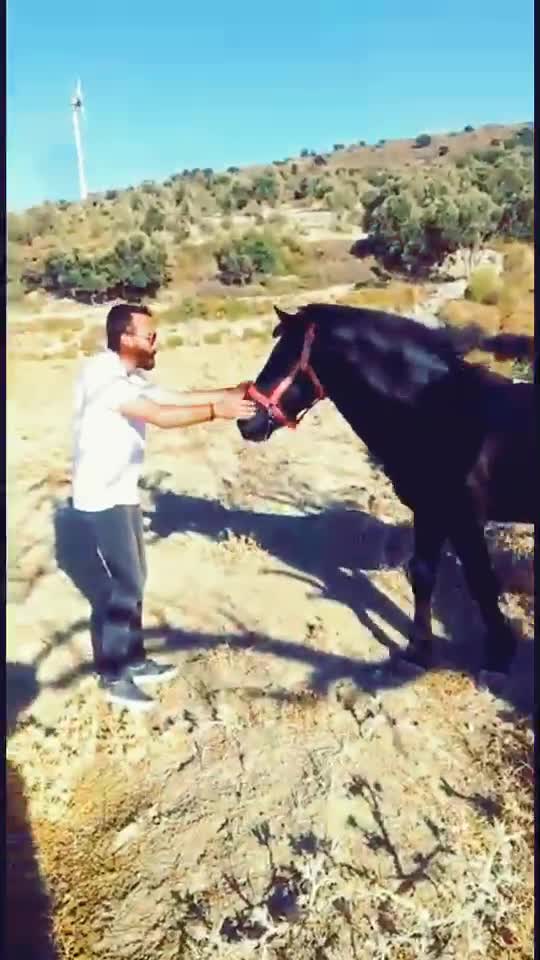 @Barış KAYA