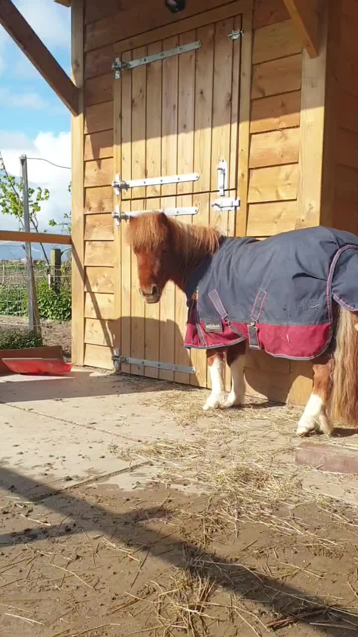 @eventingridersx