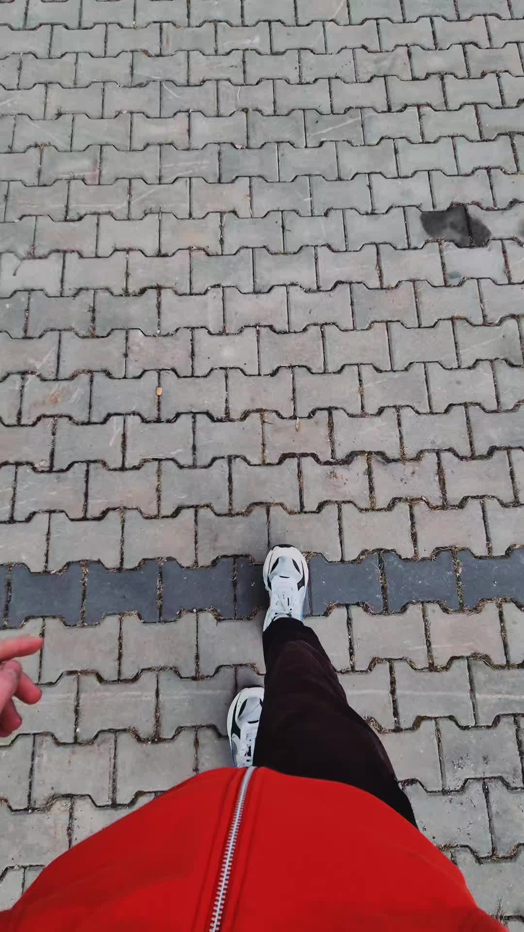 @HonzA.R
