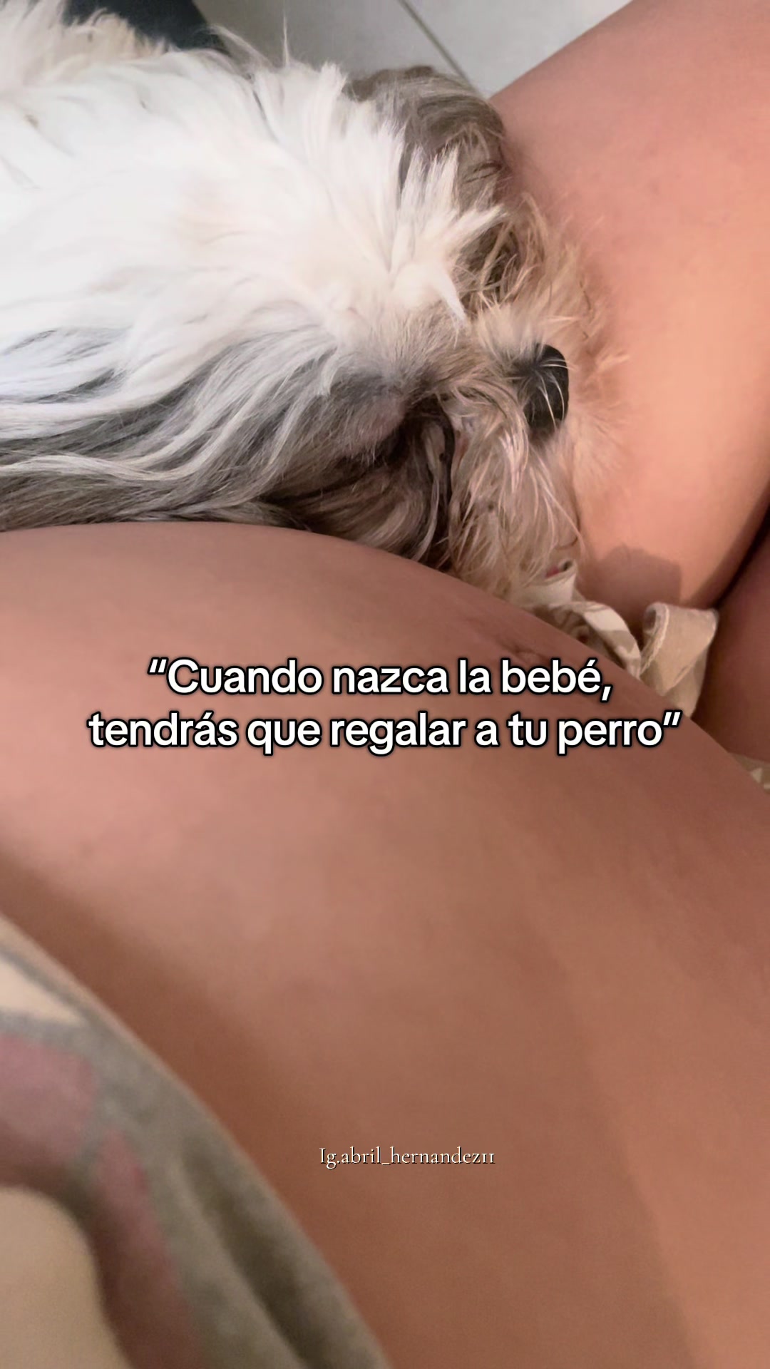 @Abril Hernández