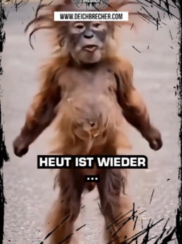 @💣DEICHBRECHER 💣