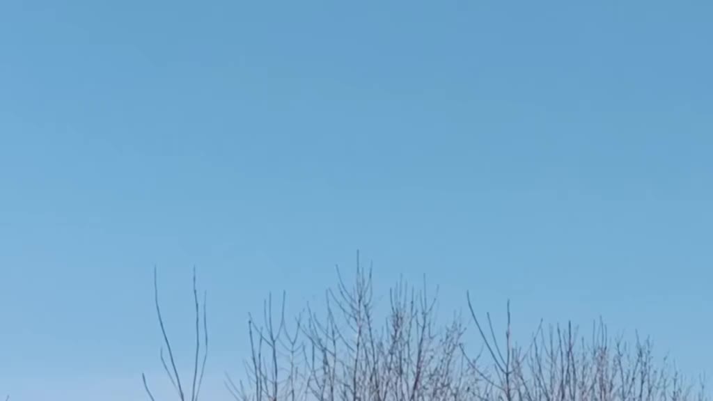 @(Frații Coman)
