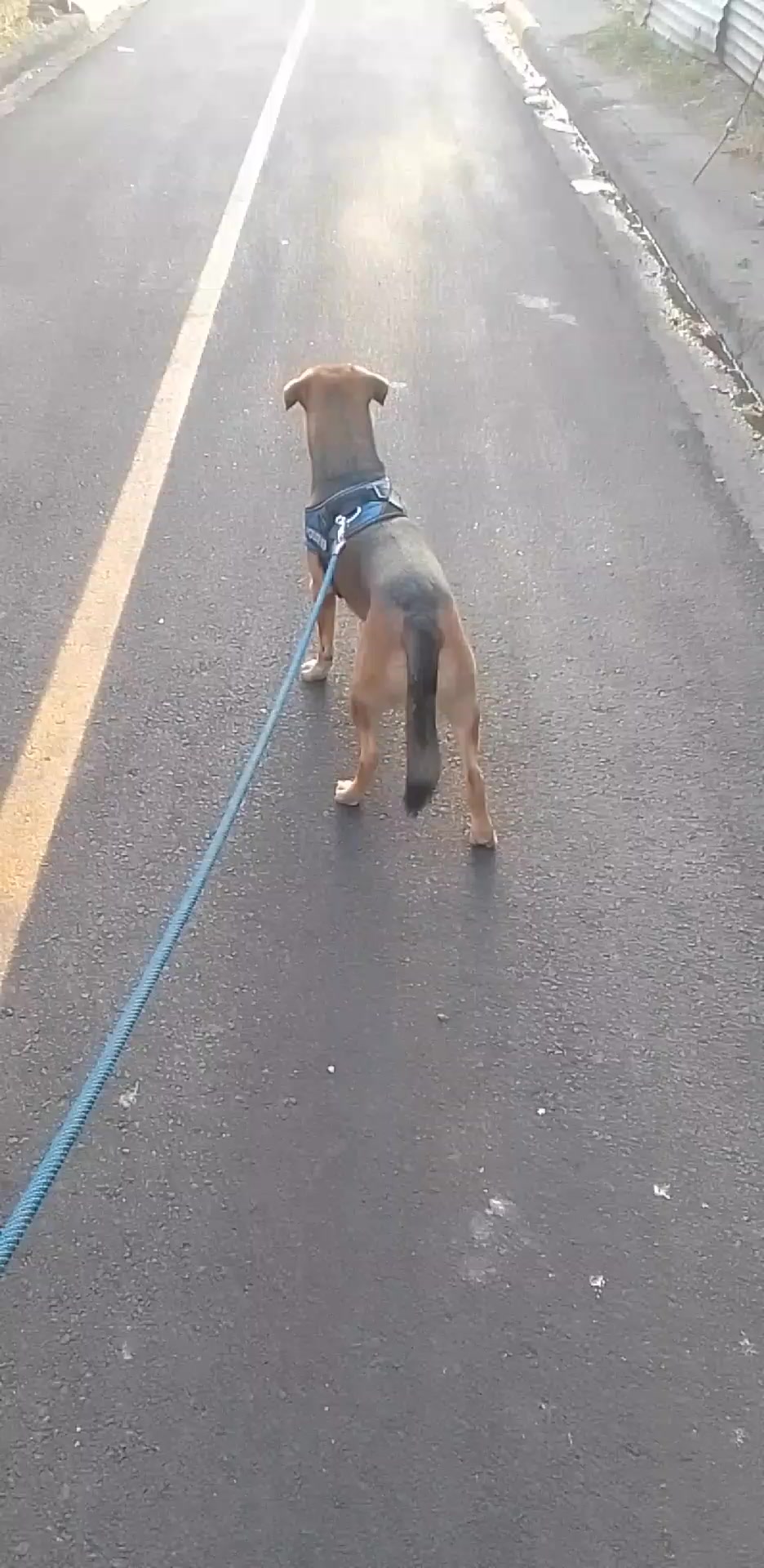 @Bendecido GÓMEZ...