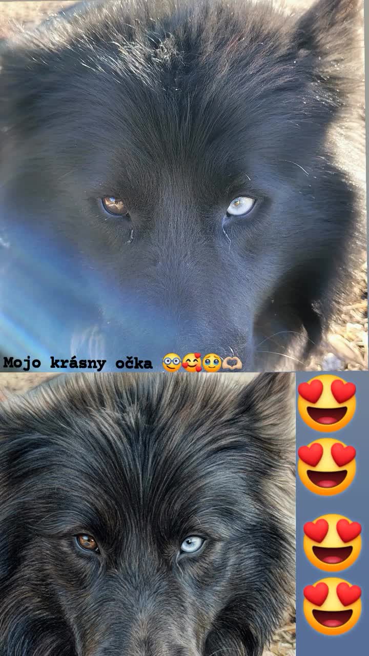 @Łëñ Fêŕîă