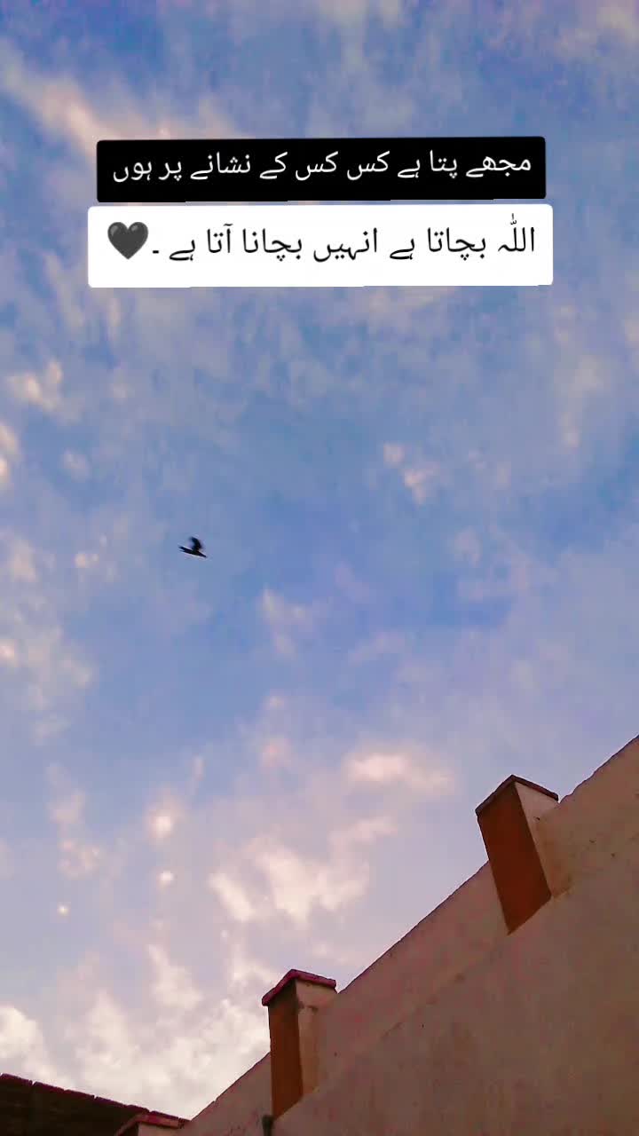 @Raبia Awaن