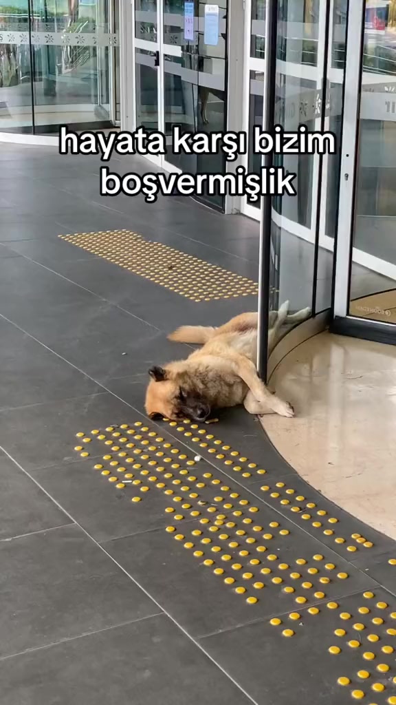 @Ülvi