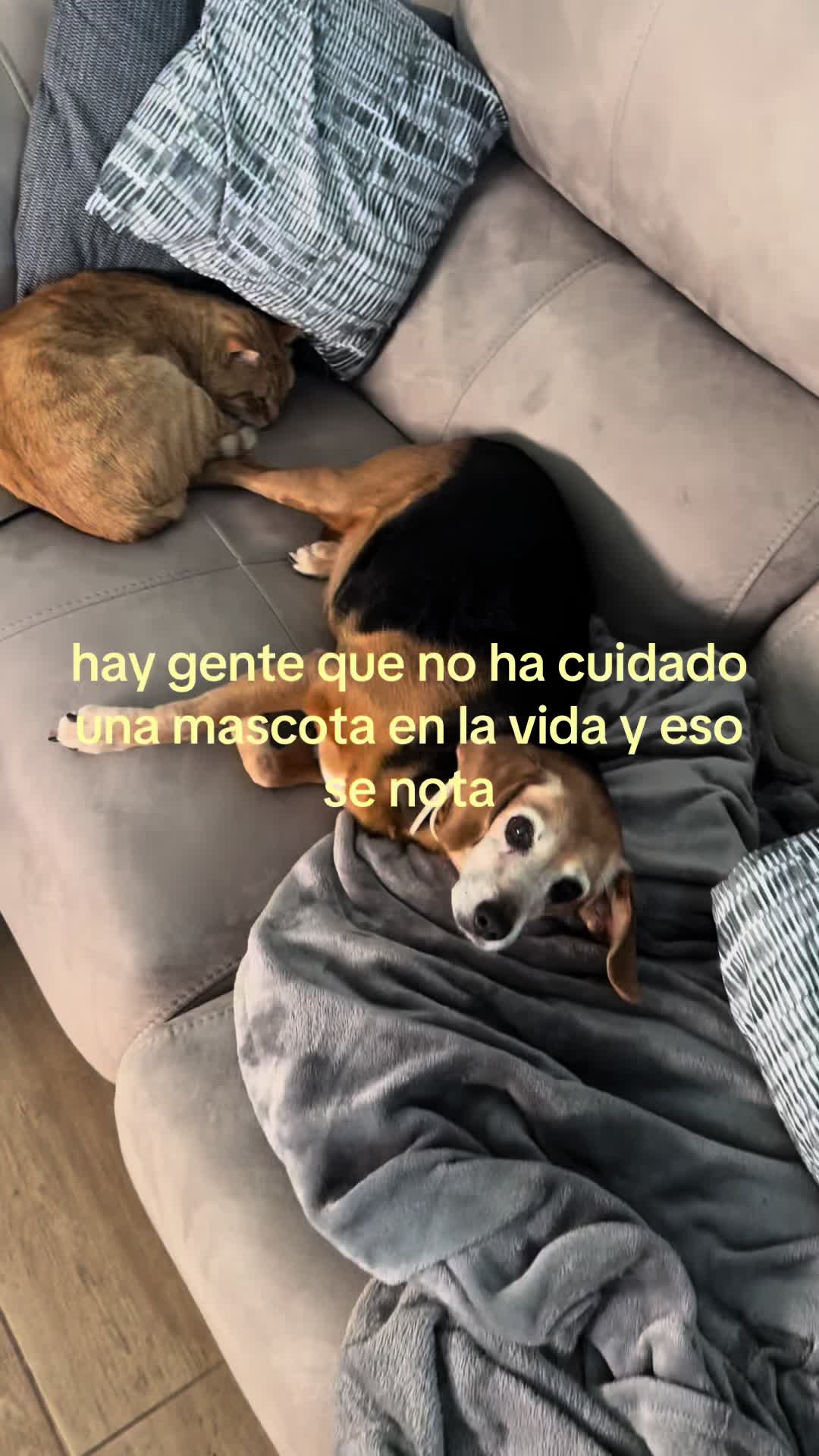 @ª