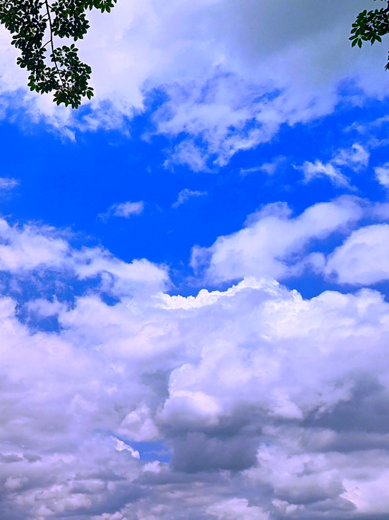 @🪺🦋বাংলার প্রকৃতি 🌾🌹