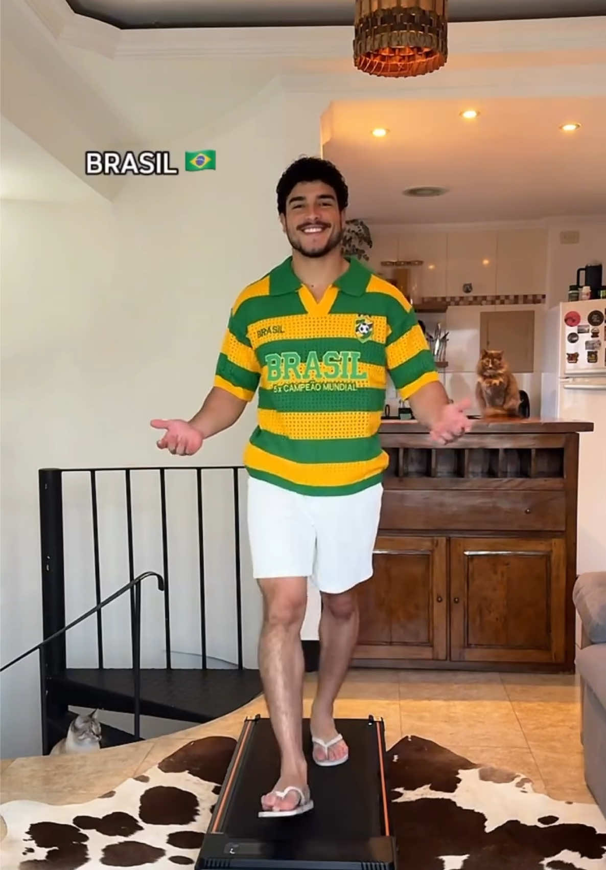 @LUIZ MELLO