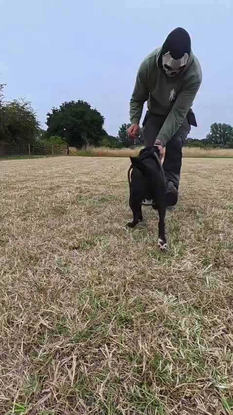@KAKEK9 TRAINING LTD