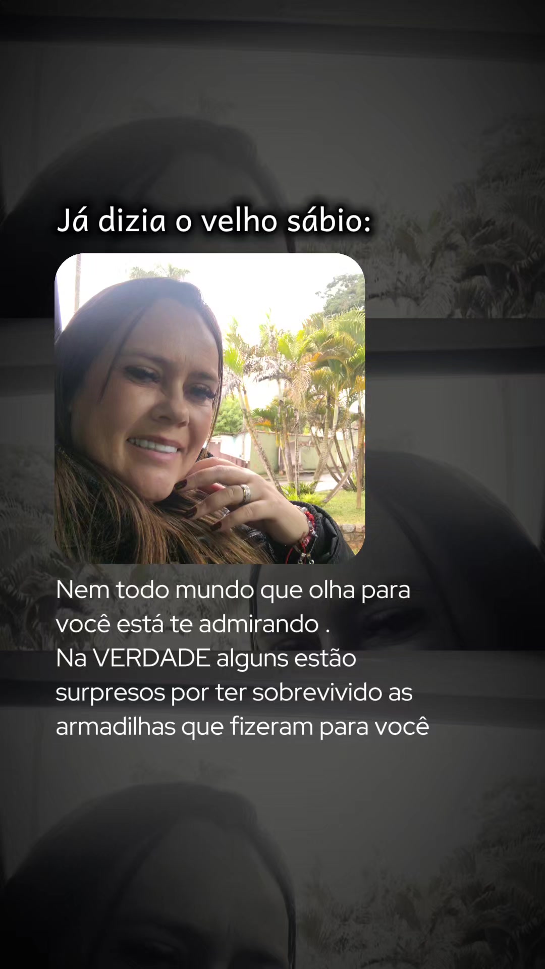 @Fernanda Bellarmino