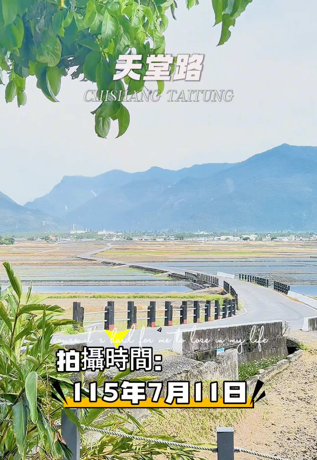 @美娴(華鼎自行車出租店)