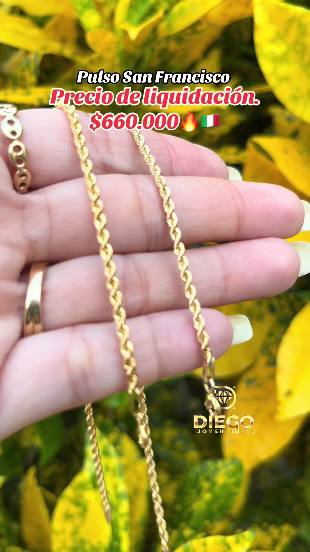 @Diego Joyería 18K