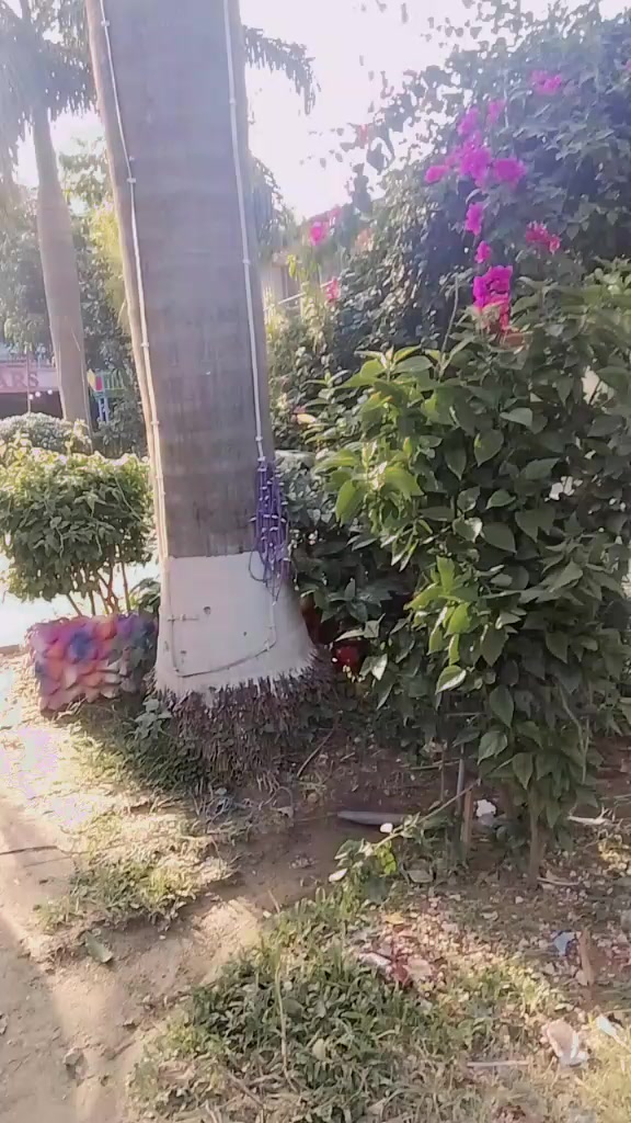 @এক অভাগা মেয়ে  আমি 🙏😓😭💔