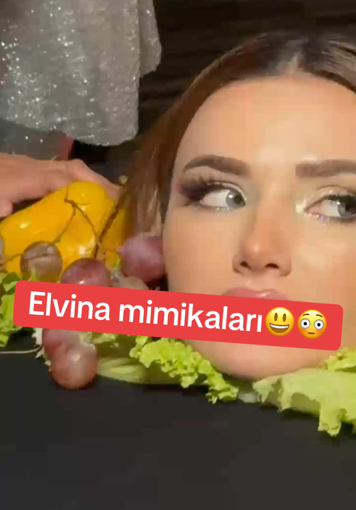 @ElvinaElvin