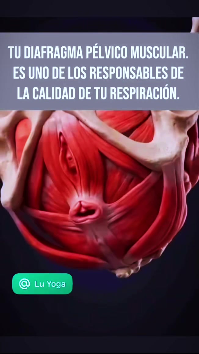 @movimiento_pelvico_1213_